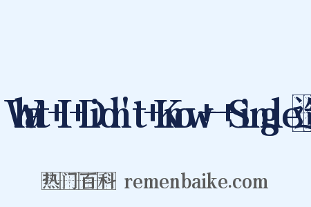 What+I+Didn't+Know+-+Single造句是什么意思的图片